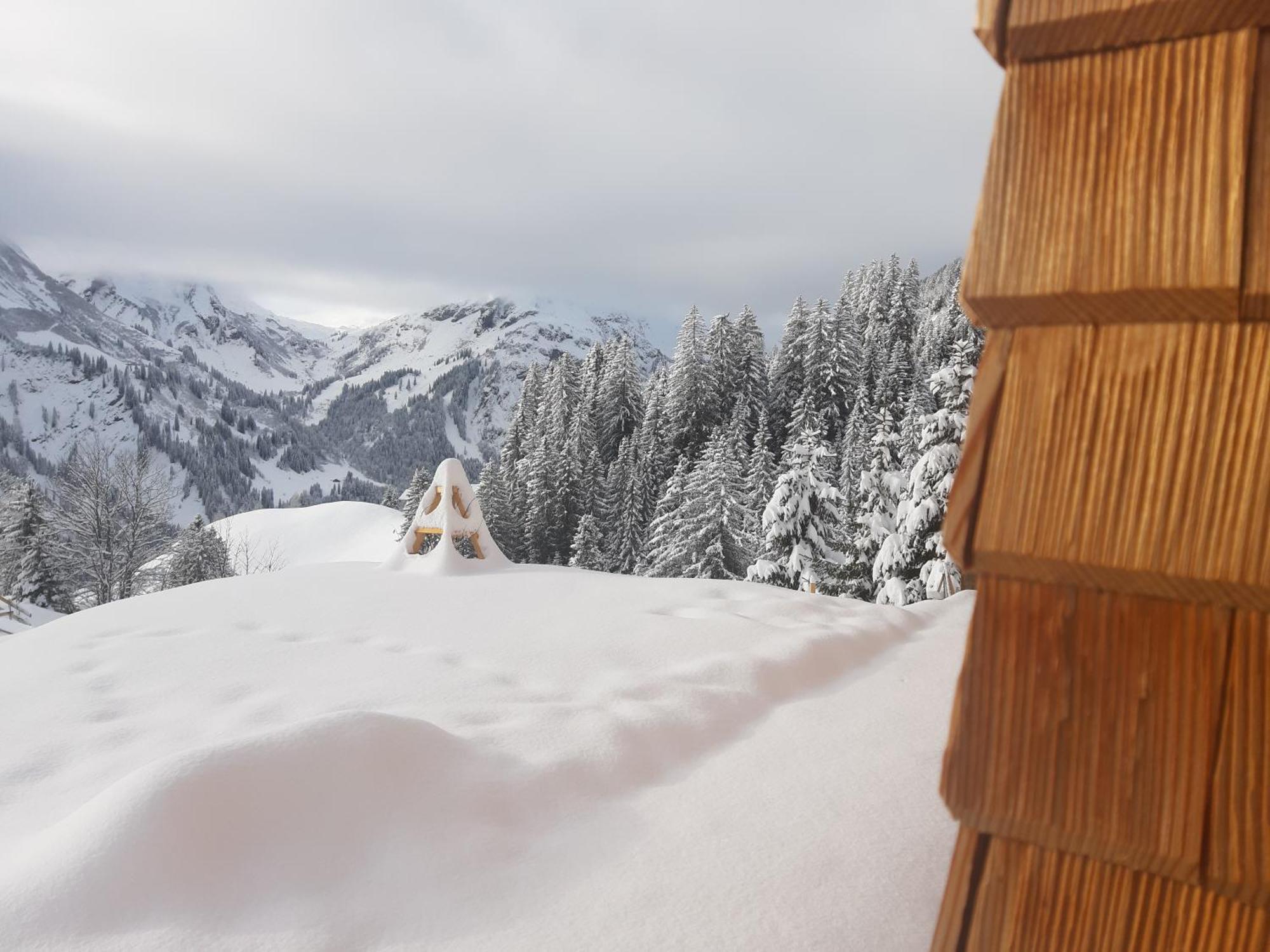 Schröcken Berghof Ferienhausヴィラ エクステリア 写真