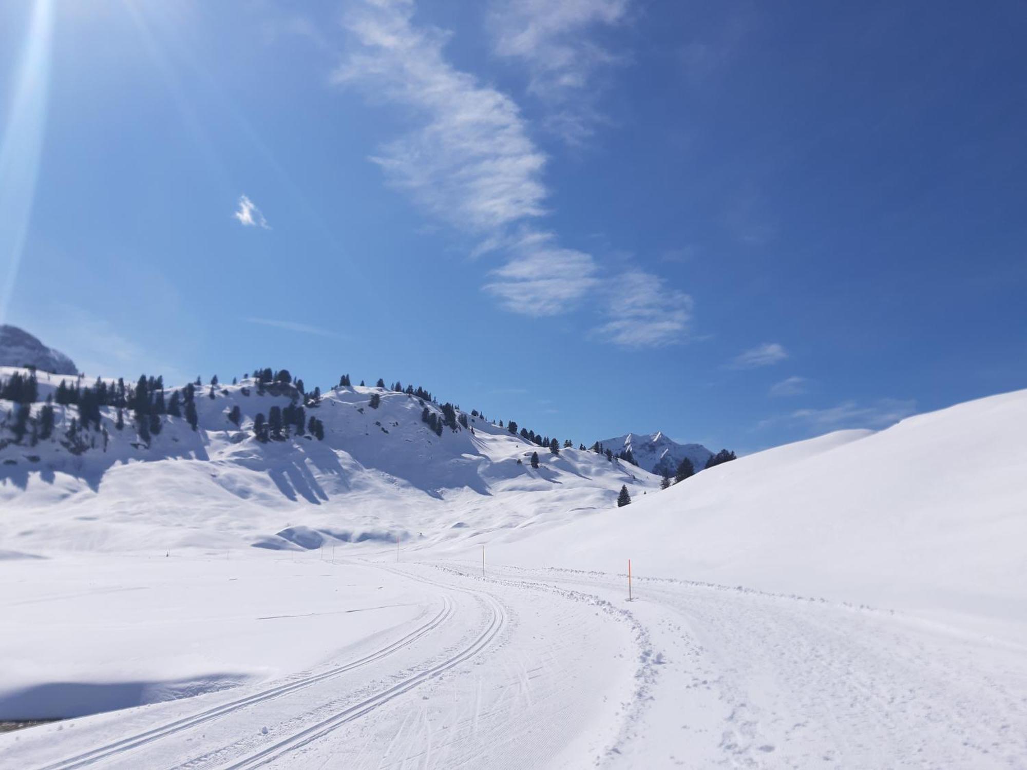 Schröcken Berghof Ferienhausヴィラ エクステリア 写真