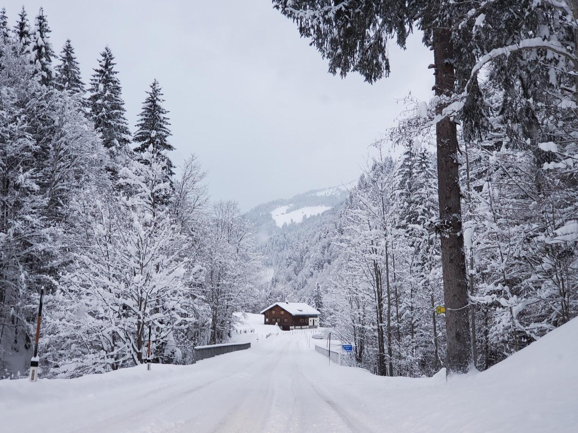 Schröcken Berghof Ferienhausヴィラ エクステリア 写真