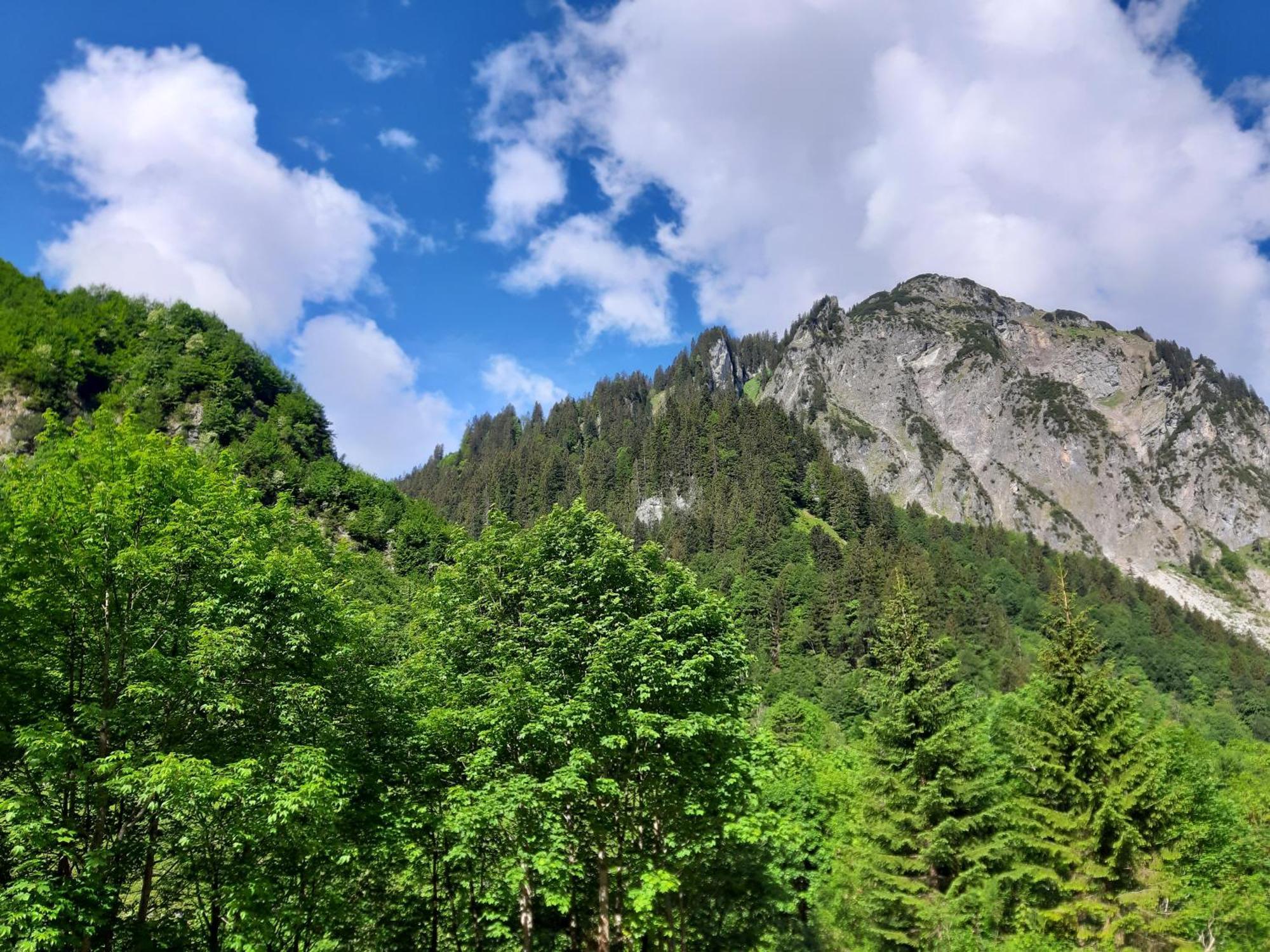 Schröcken Berghof Ferienhausヴィラ エクステリア 写真